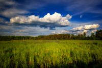 Glorious Spring day, Blue Hills  3