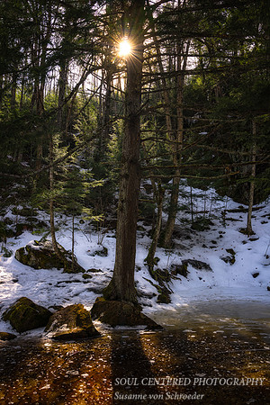 At Morgan Falls, early spring