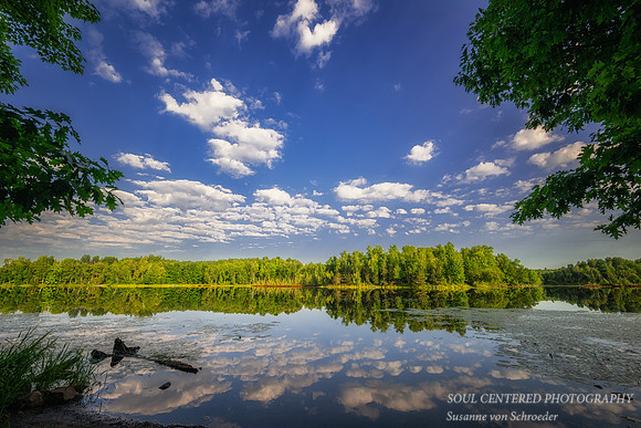 _DSC6598z
