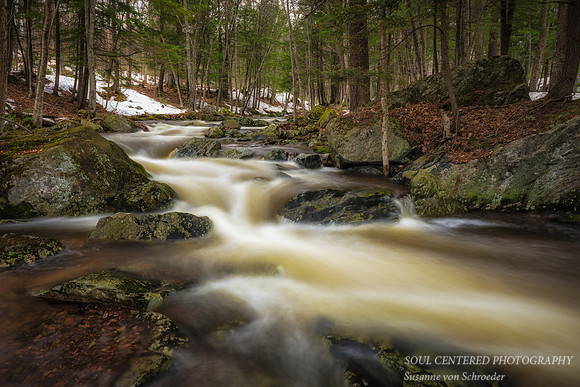 Snow melt 6