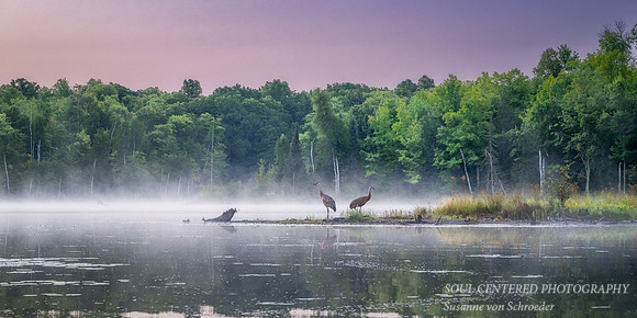 Blue Hour with Sandhill Cranes, Audie Lake, Aug. '26 1, panorama