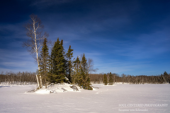 Spruce Island, Febr. '23 1