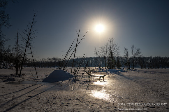 Sunny winter day and light