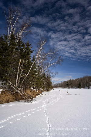 Exploring Audie Lake, Shanti & Shiloh, Febr. '23 3