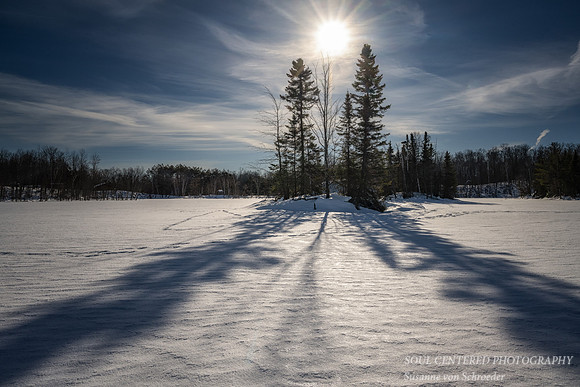 Spruce Island, Light & shadows, Febr. '23