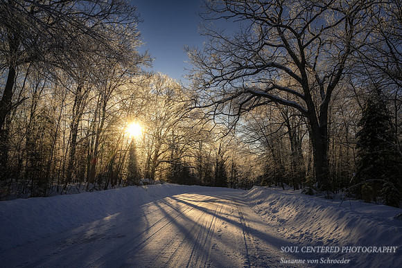 Morning sun, ice covered trees