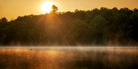 Sunrise with loons, Audie Lake, Aug. '26, panorama