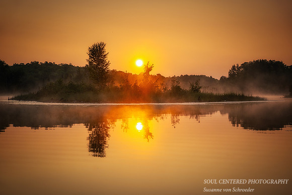 _DSC6863z