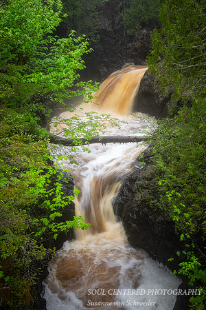 The Cascades, June 24'