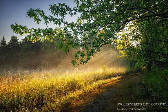 Morning light and sunrays, Flambeau Mine, Ladysmith, WI