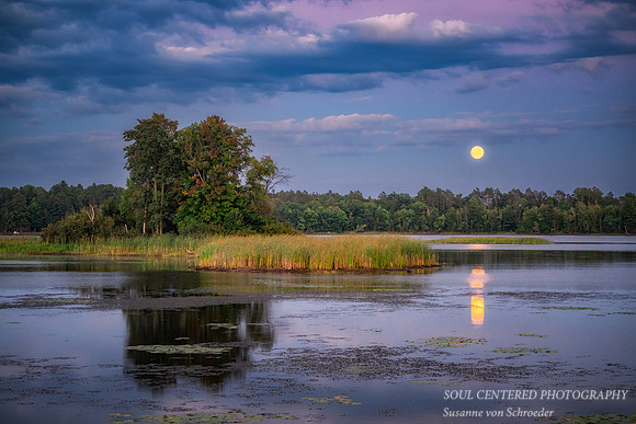 Full moon rising, Chippewa Flowage, WI, Aug. '26 2