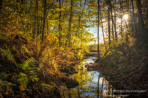 A little creek