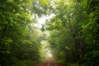 Driving through the Blue Hills on a foggy morning