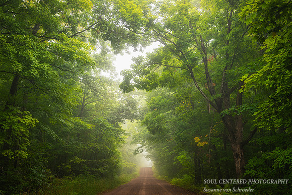 Driving through the Blue Hills on a foggy morning