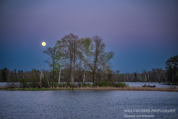 Fishing under the Flower Full Moon, Chippewa Flowage, May '25