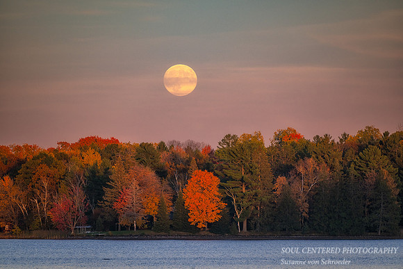 October full moon rising, '24