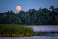 August full moon rising, 2024