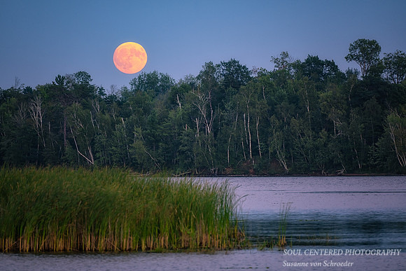 August full moon rising, 2024