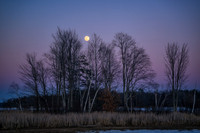 February full moon, '24