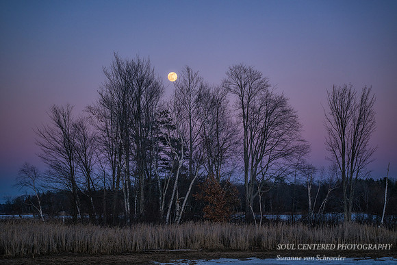 February full moon, '24