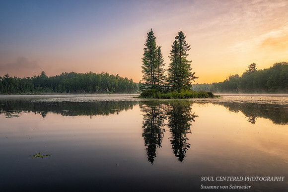 Spruce island at sunrise, August '25 2