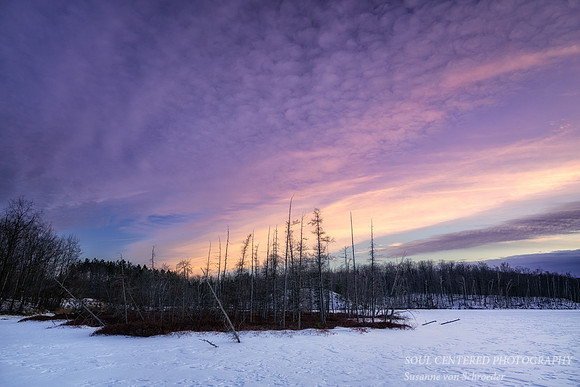 Winter sunset colors, Audie Lake, Jan. '25 1