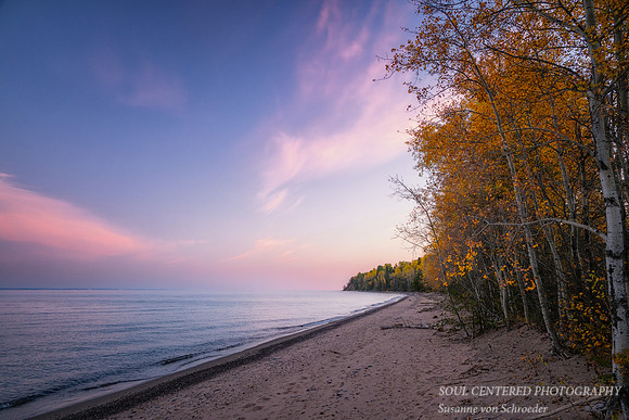 Blue hour/dawn with golden trees, Lake Superior