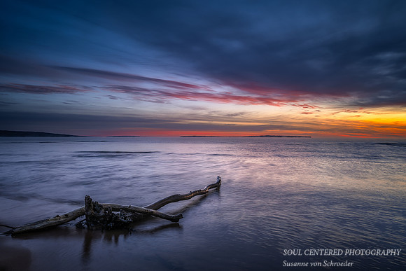 Vibrant colors of dawn, Friendly Valley beach, with driftwood, Nov. '23