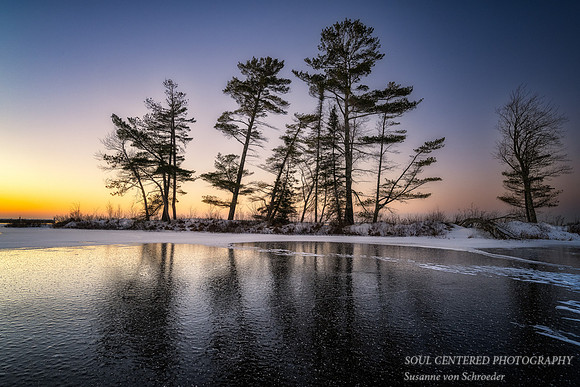 A row of trees near Sand Bay, Blue Hour, Lake Superior