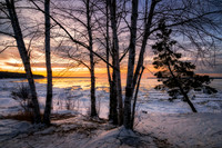 Lake Superior sunset colors, Birch trees, Dec. '25