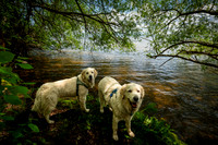 Shanti and Gracie, Washburn, WI