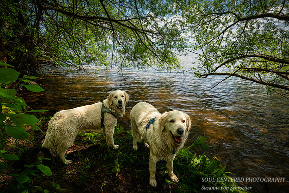 Shanti and Gracie, Washburn, WI