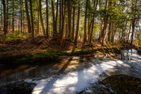 Early spring at a creek, Blue Hills