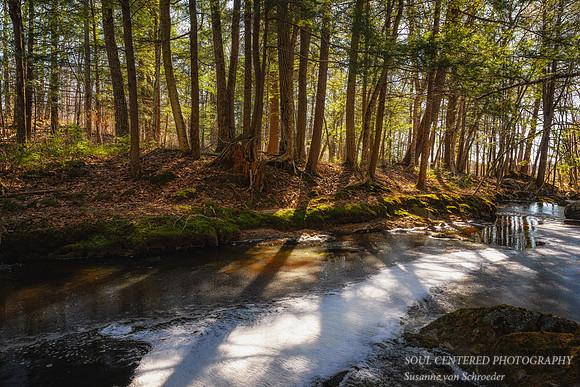 Early spring at a creek, Blue Hills