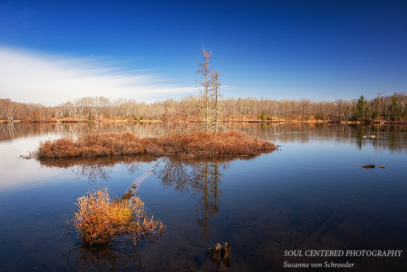 Calm spring morning with reflections, Audie Lake, April '26 3