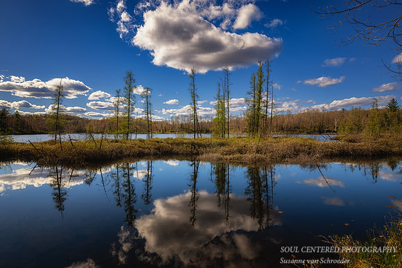 _DSC4534z