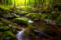 Creek in August, '26 2