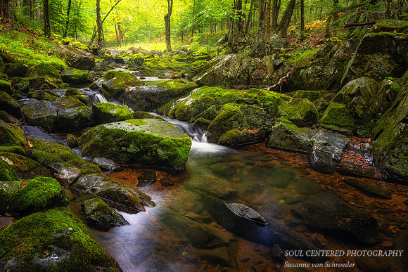 Creek in August, '26 2