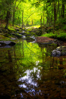 Creek in August with reflections, '26