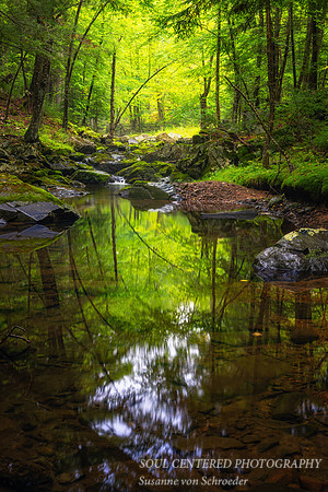 Creek in August with reflections, '26