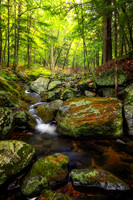 Creek in August, '26 1
