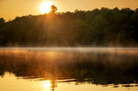 Sunrise with loons, Audie Lake, Aug. '26