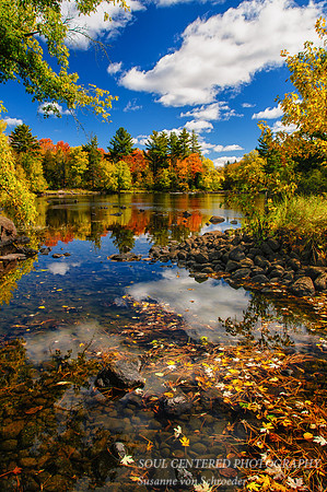 East Fork Chippewa River 2