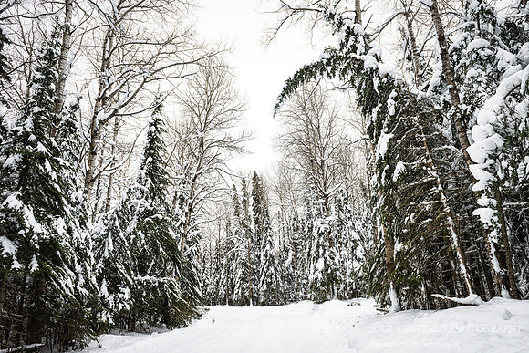 Winter Wonderland 2
