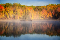 _DSC8684z