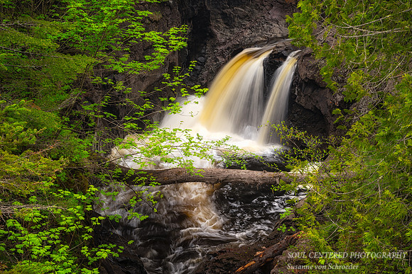 The Cascades, June 25' 2