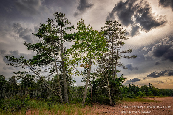 Lake Superior beach at Sand Bay 4, Sept. '26