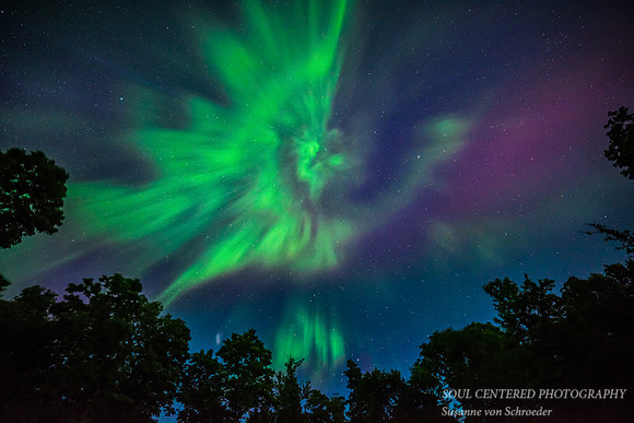 Aurora Angel, solstice 1