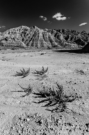 Badlands desert