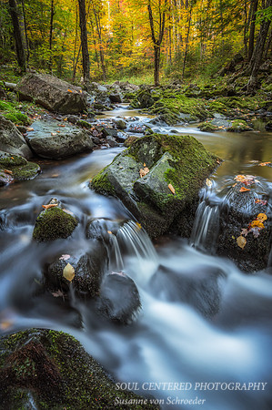 Magic Creek, fall 4